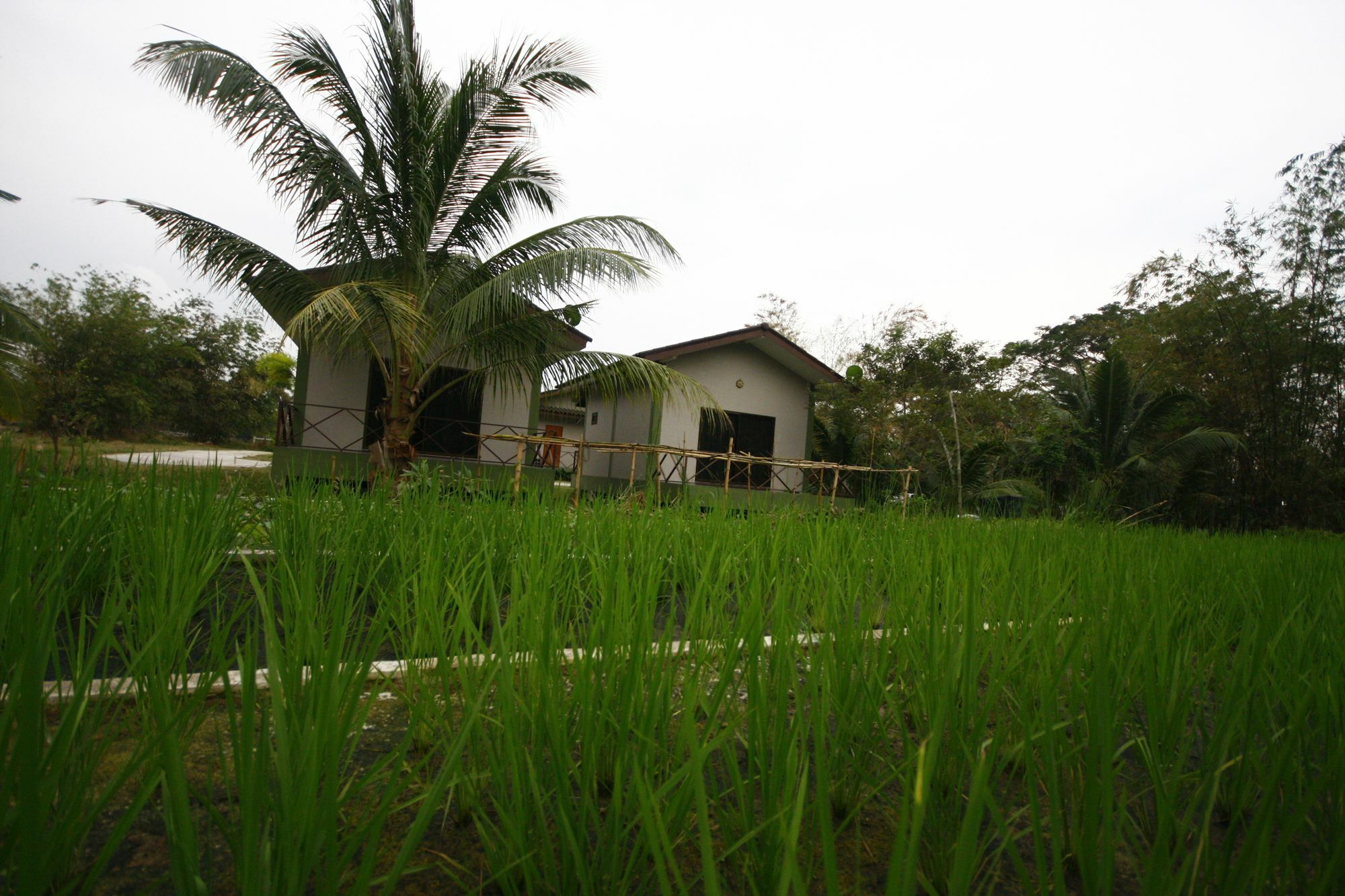 Long Lake Resort Chonburi Esterno foto