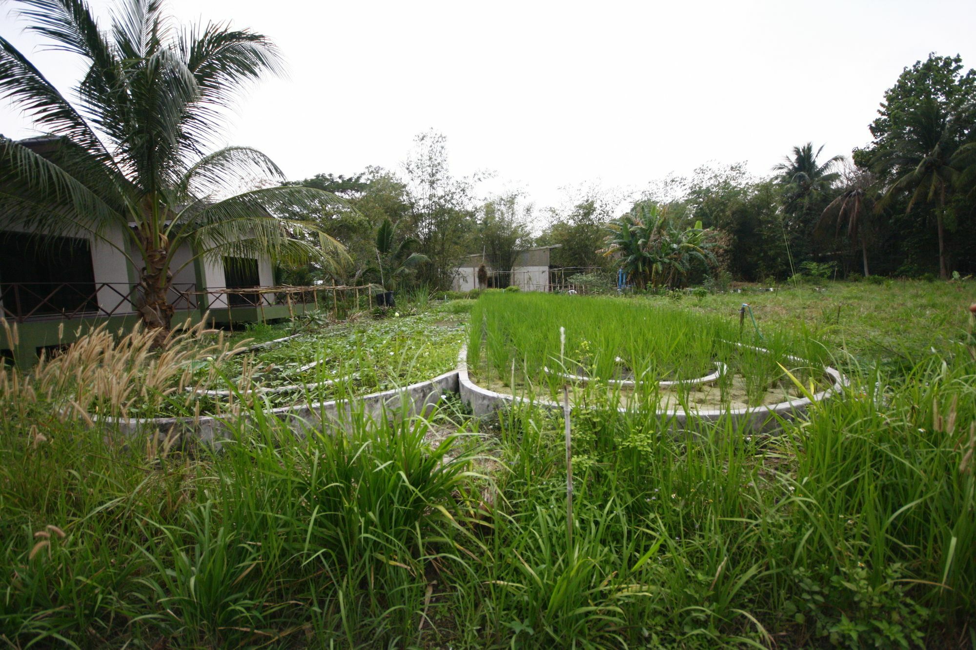 Long Lake Resort Chonburi Esterno foto