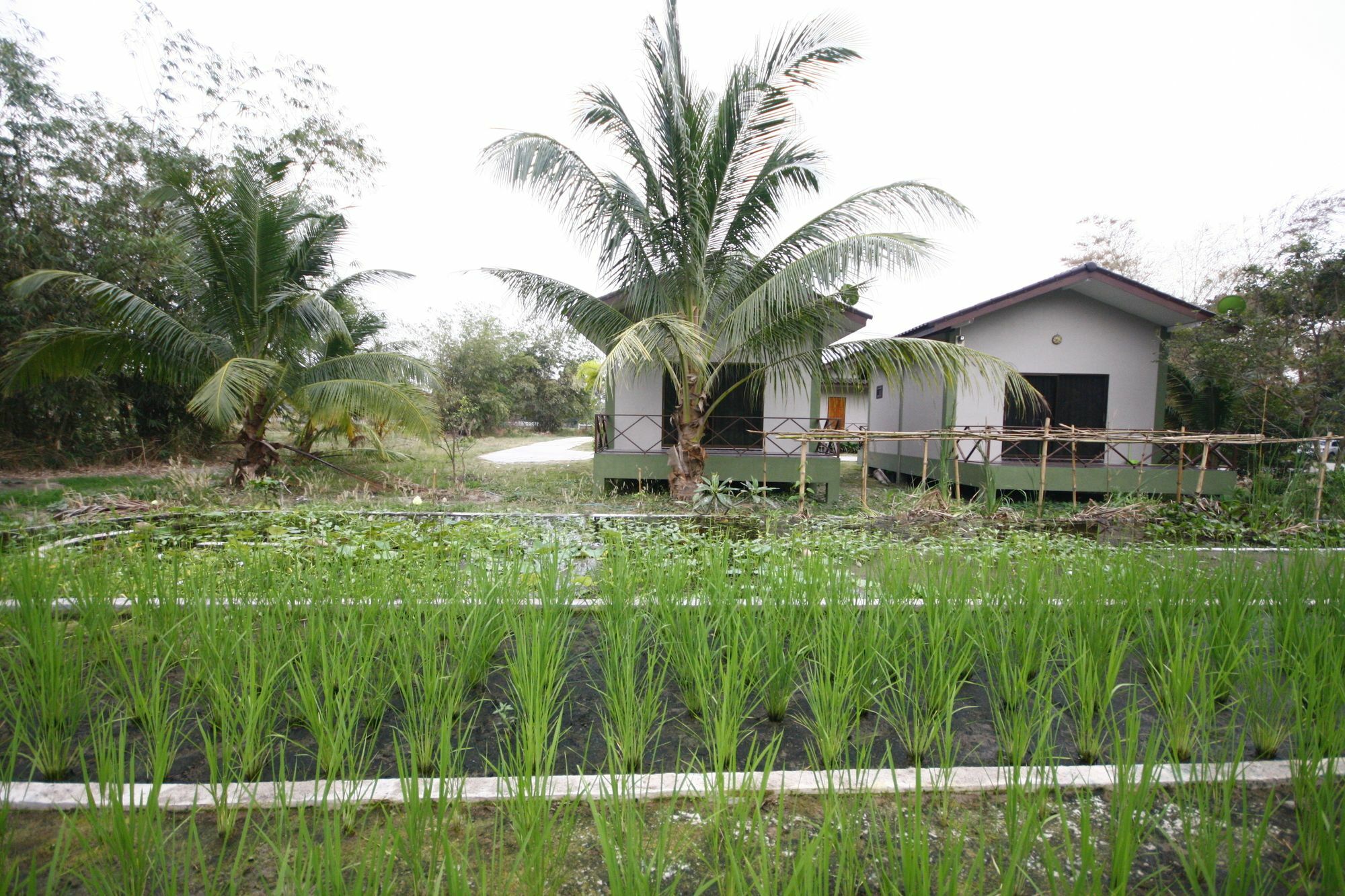 Long Lake Resort Chonburi Esterno foto